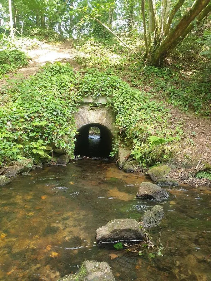 La Bulle De Clotilde - Logement Insolite Tourch 0*,